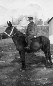 A soldier on a horse